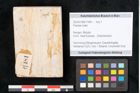 Foto (Objekt + Etikett) von Plantae indet.  (NHMW-GEO-2024-0188-11481)